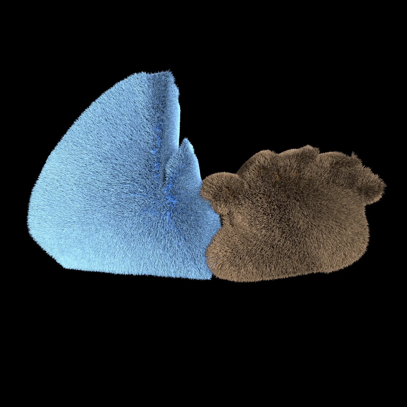 3D fur renders of Mordecai and Rigby