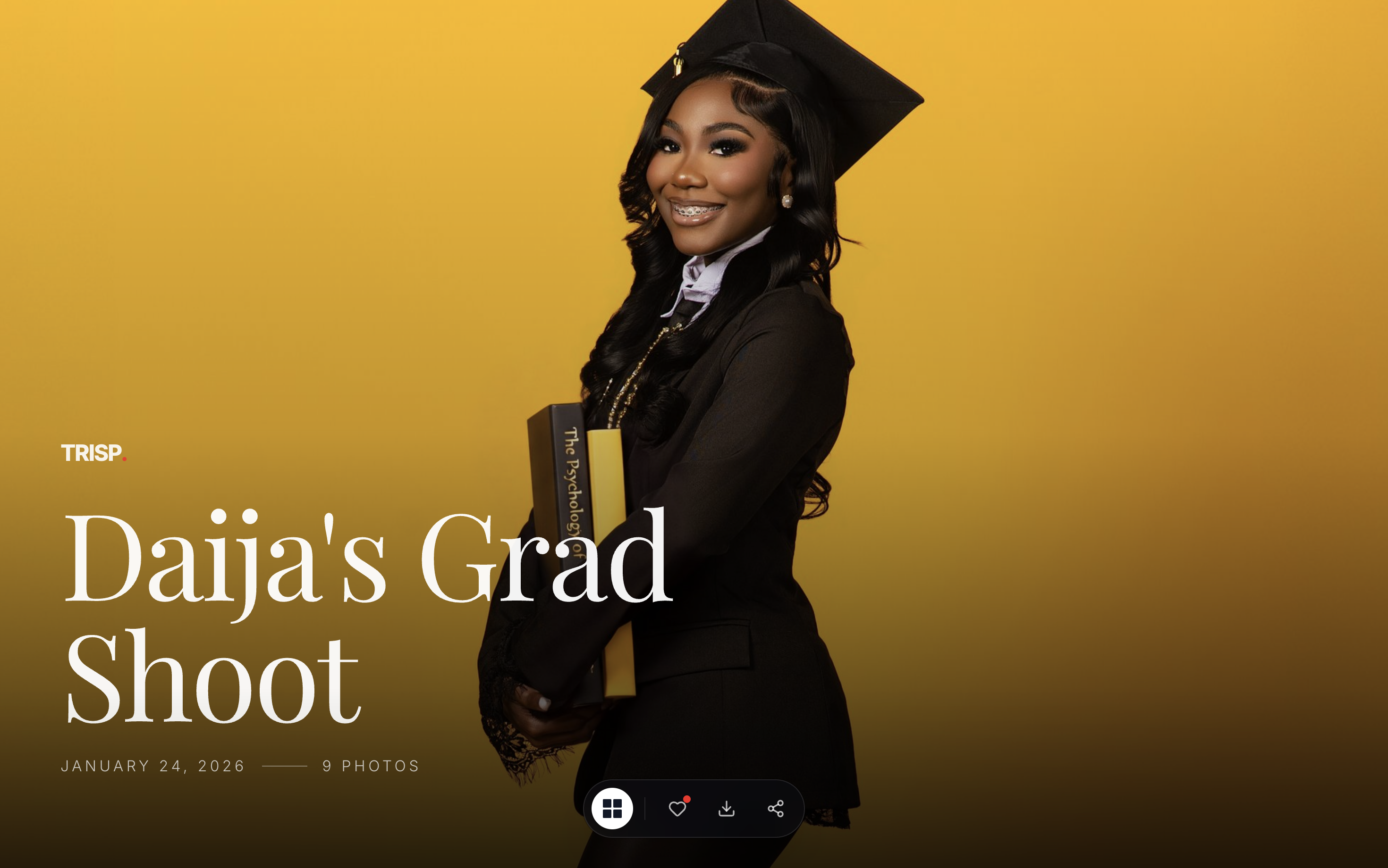 TRISP Client Portal with masonry gallery and favorites system - Image 2