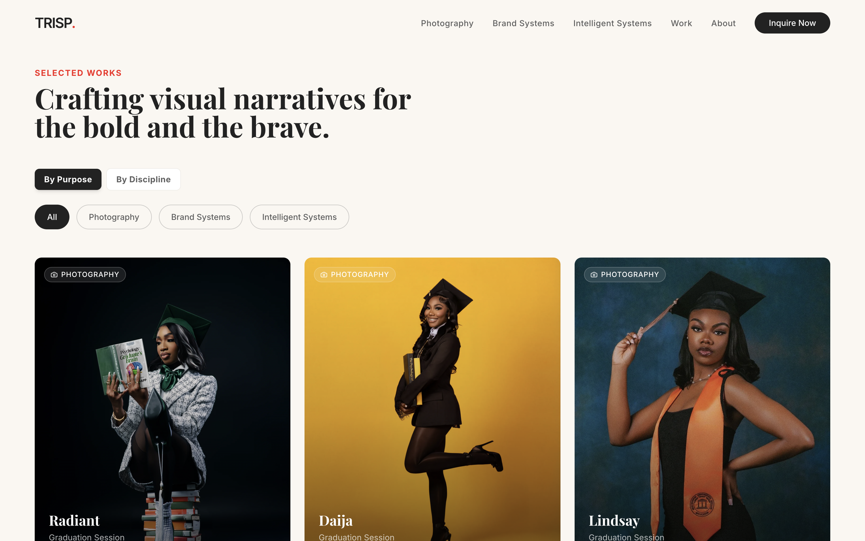 TRISP Studio portfolio features - Image 4